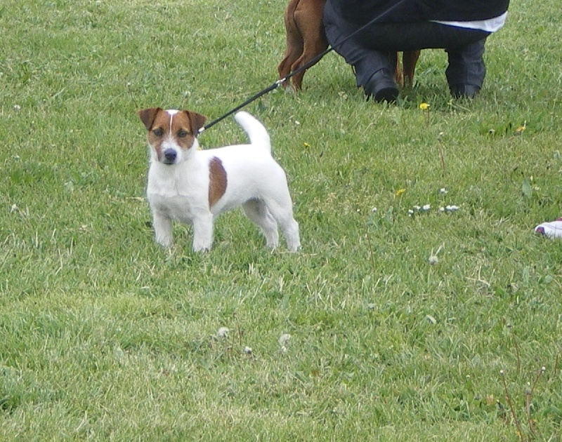 Gala des Gres de Malleville